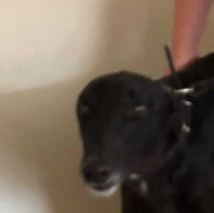 Meet your Posher, Tahnee